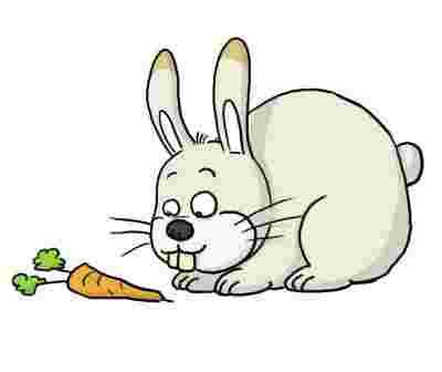 Happy le petit lapin, dessin animé complet en français._notre page facebook: Comment repousser les lapins de son jardin et potager ...
