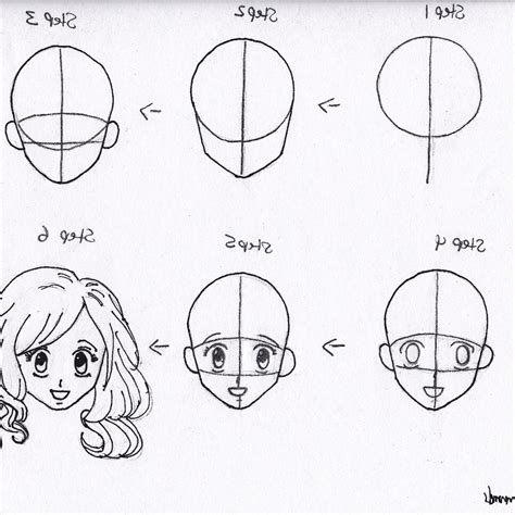 How To Draw A Anime Face Step By Step For Beginners Anime Anatomy