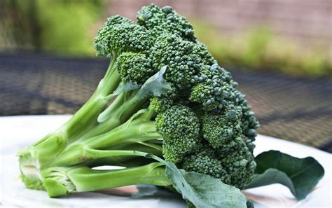 Could A Treatment For Autism Be Found Inbroccoli Modern Farmer