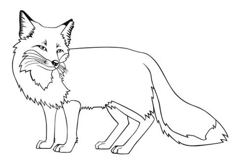 Fox Anime Girl Coloring Pages Presery