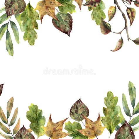 Frame Autumn Leaves Isolated Stock Illustrations 22092 Frame Autumn