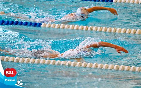 Acompanhe no superfc a tabela atualizada do quadro de medalhas dos jogos olímpicos de tóquio. Olimpíadas na piscina: confira as modalidades aquáticas dos jogos de 2021