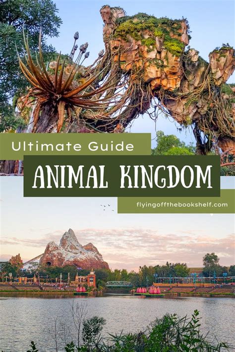 Plan A Perfect Day In Disneys Animal Kingdom With This Complete Guide