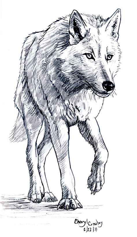 See more ideas about drawings, art drawings, black and white drawing. White Wolf by silvercrossfox on DeviantArt