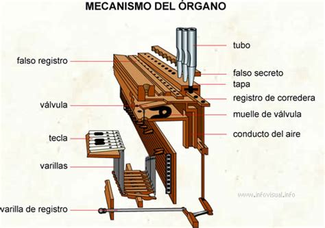 Sistemas De Organizacion Musical El Organo