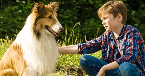 Lassie De Volta A Casa Estreia Dia 3 De Junho Trailer Mhd