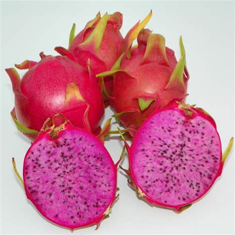 Physical Graffiti Purple Flesh Dragon Fruit Variety From