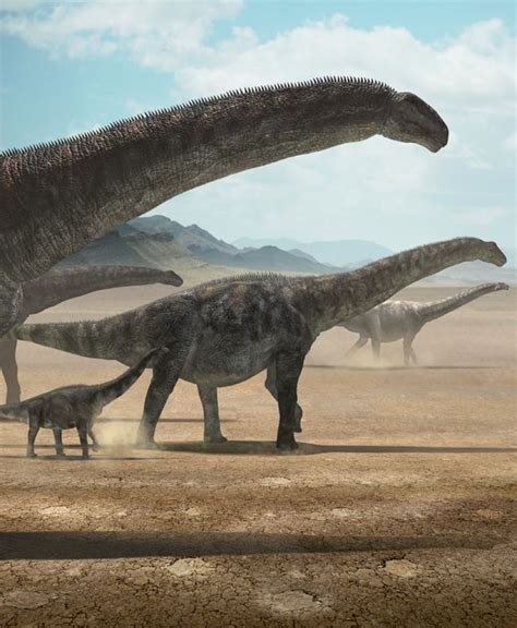 Argentinosaurus One Of The Largest Land Animals That Ever Lived