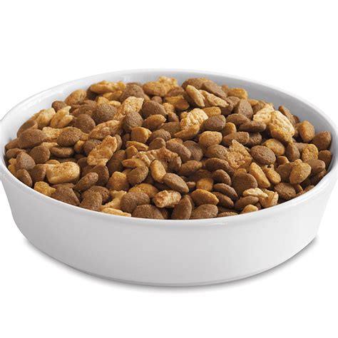 Active, agile and full of curiosity. Purina ONE Tender Selects Blend With Real Chicken Dry Cat ...