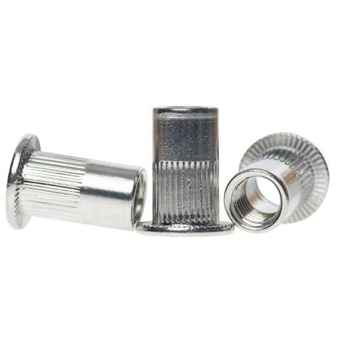 A Stainless Steel Flat Head Knurled Rivet Nuts Bolt Base