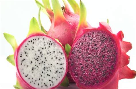 We did not find results for: BUAH NAGA - MyAgri.com.myMyAgri.com.my