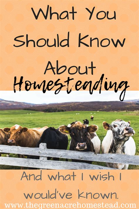 What You Should Know About Homesteading Before Starting Homesteading Farm Backyard