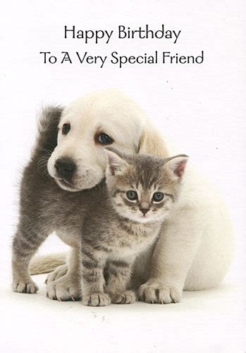Have a wonderful celebration and the most fantastic year ahead! Romeo's Birthday - Page 3