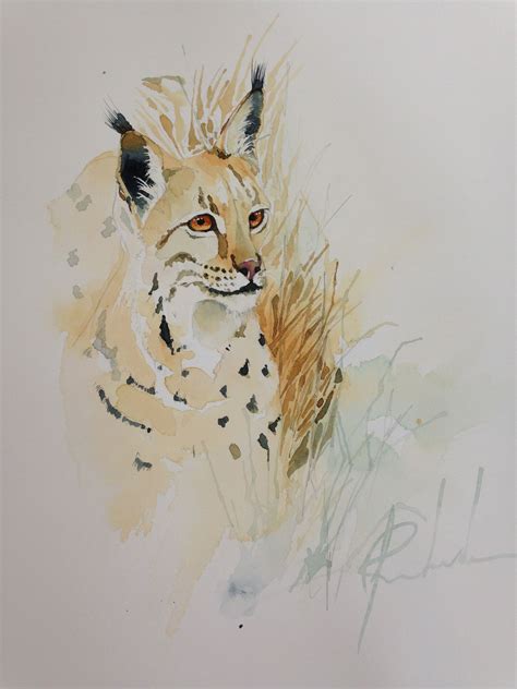 Watercolor Painting Animal Original Wildlife Animal Watercolor