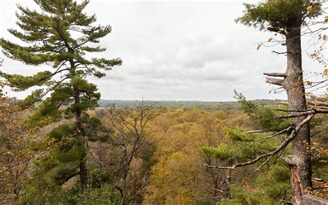 10 Destinations To See Peak Fall Colors In Minnesota