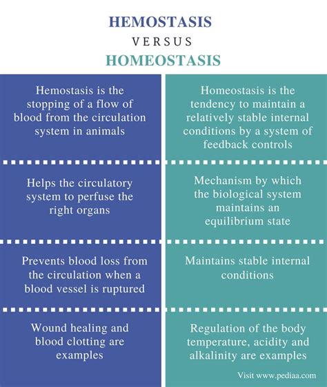 Difference Between Hemostasis And Homeostasis Definition Steps