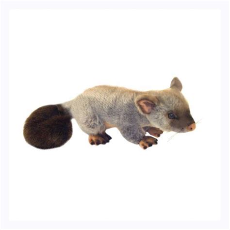 Collection by i still call australia home • last updated 5 days ago. Australian gifts for overseas - cute ringtail possum ...