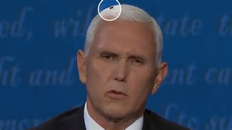 How Mike Pence Learned About The Fly On His Head Cnn Video