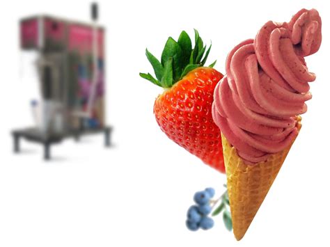 Real Fruit Ice Cream Machine