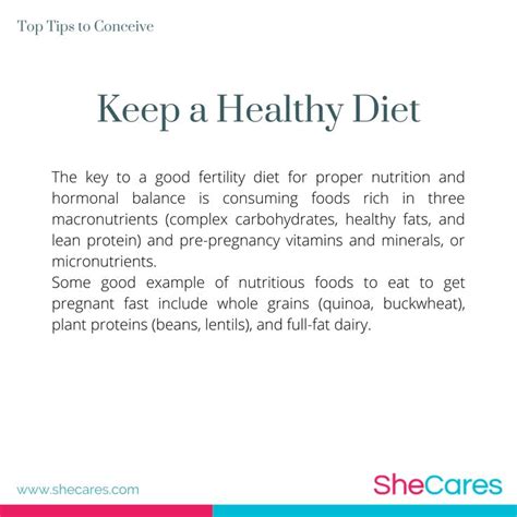 The Top Tips To Conceive Keep A Healthy Diet