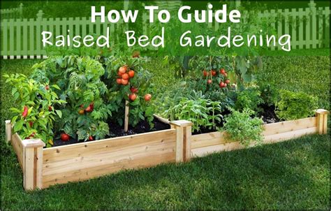 The quality of soil mixes for plus, you control the type of soil product used for the raised garden beds and create the soil you want. Type Of Soil For Raised Garden Beds | Home and Garden Designs