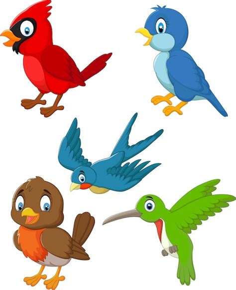 Conjunto De Colección De Pájaros De Dibujos Animados Vector Premium