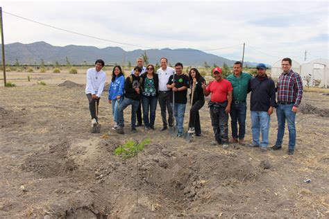 Tecnm Tecnol Gico Del Valle Del Guadiana