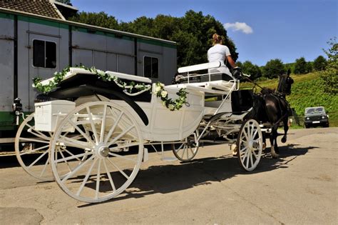 Die hochzeitsfeier wird letztendlich teurer als zu beginn geplant. Wieviel kostet eine Hochzeit und an welchen Punkten könnt ...