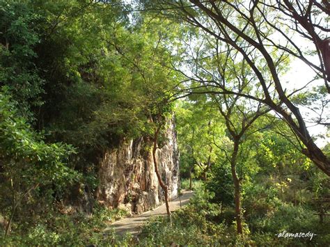 ADA MAKAM SUNAN KALIJAGA DI BUKIT SUROWITI GRESIK? - alaMasEdy