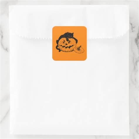 Black Cat Resting On Top Of A Carved Pumpkin Square Sticker Zazzle