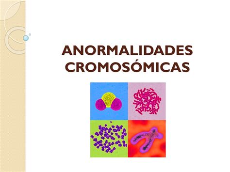 Calaméo Conf 2 Anormalidades Cromosómicas