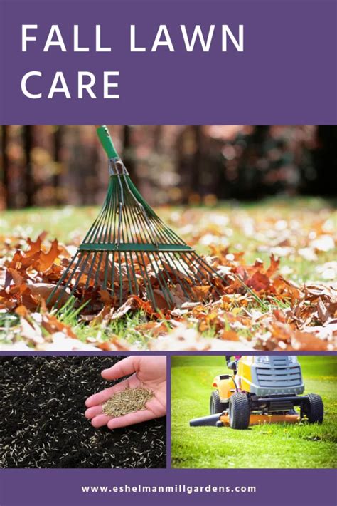 Fall Lawn Care Tips Pennsylvania Caryc