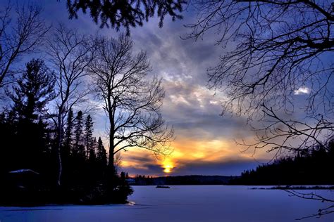 Free Images Tree Nature Branch Snow Cold Light Cloud Sky Sun