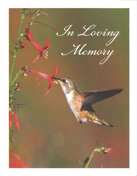 Marianne Van Watermulen Obituary 2023 - Schoeneberger Funeral