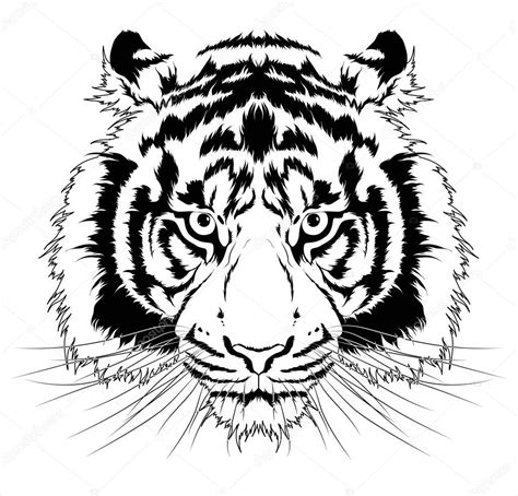 Tiger Face Tattoo Drawings