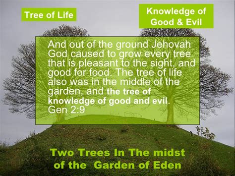 What did god use to water the garden of eden. Why Did God Create The Tree Of The