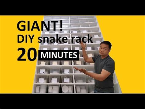 Huge DIY Snake Rack In Under 20 Minutes YouTube