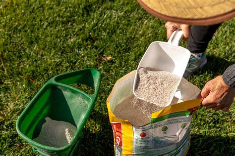 Tough on weeds, easy on the environment. When to Fertilize the Lawn in Spring