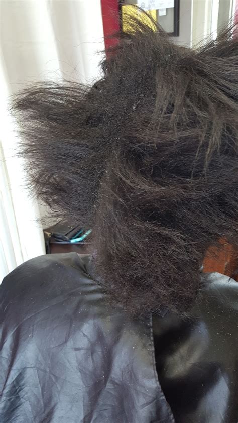 10 Reasons Why Your Hair Is Shedding More Than Normal Latoya Jones