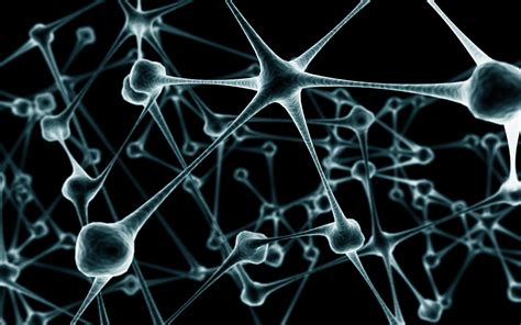 We did not find results for: Network wallpapers and images - wallpapers, pictures, photos
