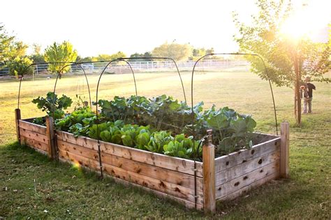 12 Creative Raised Garden Designs To Try Vegetable Raised Garden Bed