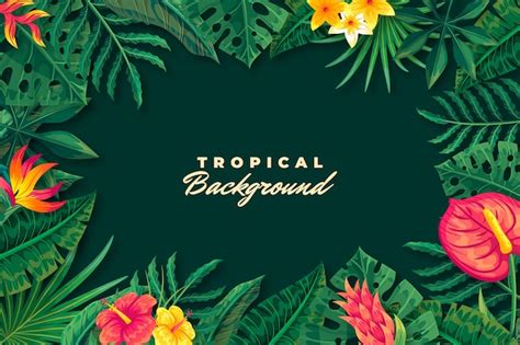 Fundo De Verão Tropical Plano Com Vegetação Vetor Premium