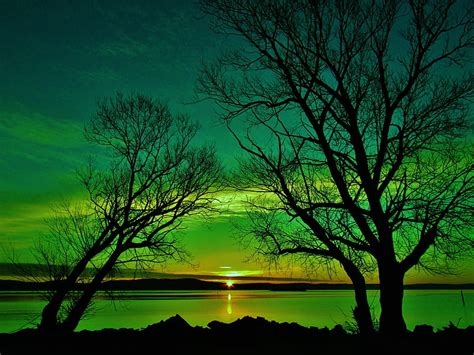 Dawn On The Sea In Green Tones Dawn Green Nature Sunset Trees Sky