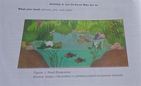 Pond Ecosystembiotic Factors Abiotic Factors