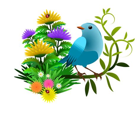 Illustration Bird Flowers Free Image On Pixabay
