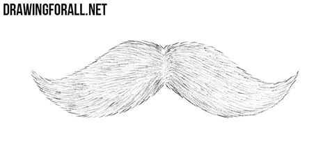 A pencil mustache is a sophisticated thin mustache grown bordering or floating just above the upper lip. How to Draw a Mustache | Drawingforall.net