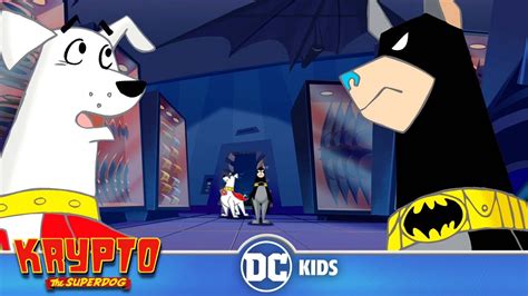 Krypto The Superdog Teaming Up With Bat Hound Dckids Youtube