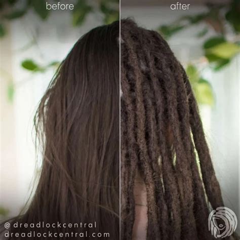 Diy And Individuals Dreadlock Central Training Courses