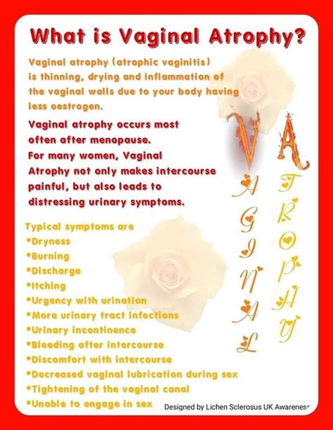 Vaginal Atrophy What Was Going On Lichen Sclerosus Vulval Cancer Uk Awareness