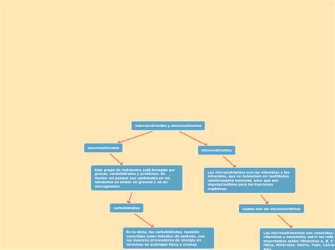 Macronutrientes Y Micronutrientes Mind Map